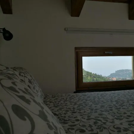 Oda ve Kahvaltı Songbird