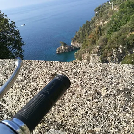 Oda ve Kahvaltı Songbird Agerola