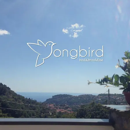 Oda ve Kahvaltı Songbird