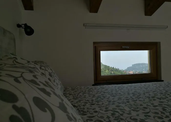 Bed & Breakfast Songbird