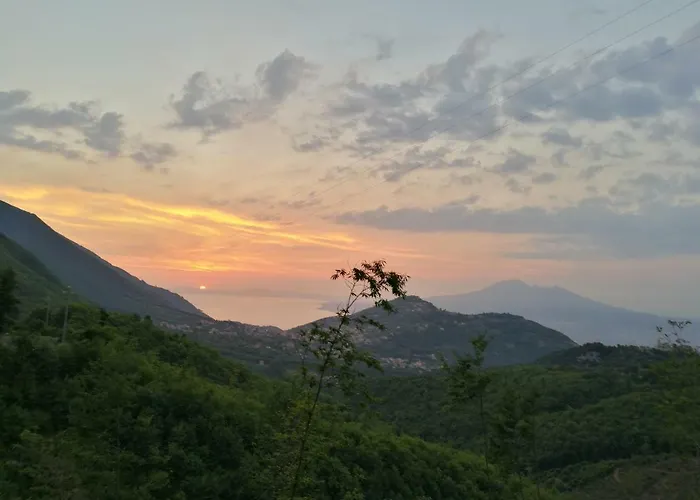 Bed & Breakfast Songbird