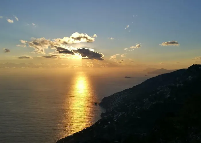 Bed & Breakfast Songbird