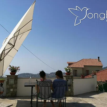 Songbird 3*