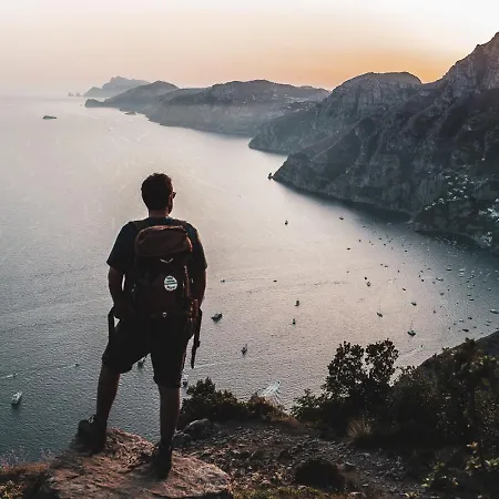 Songbird Отель типа 