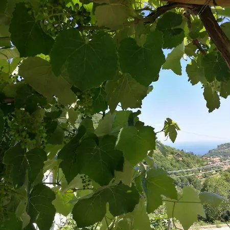 Songbird 3* Agerola