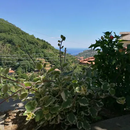 Songbird 3* Agerola